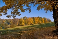 <p>Lužické hory - okolí Zlatého vrchu</p>